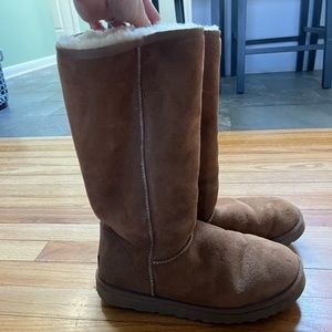 Classic tall chestnut Uggs